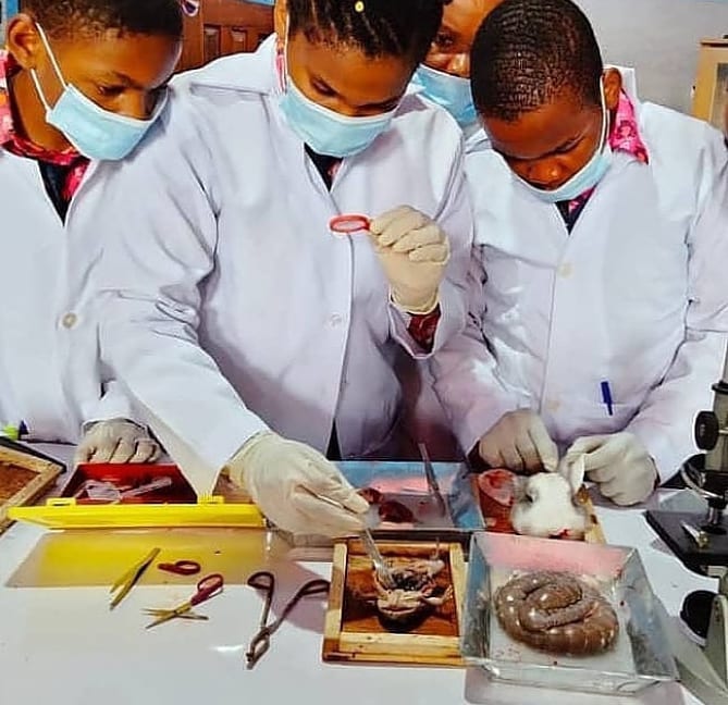 Home - Divine Seeds Schools